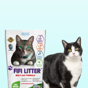 Fifilitter White