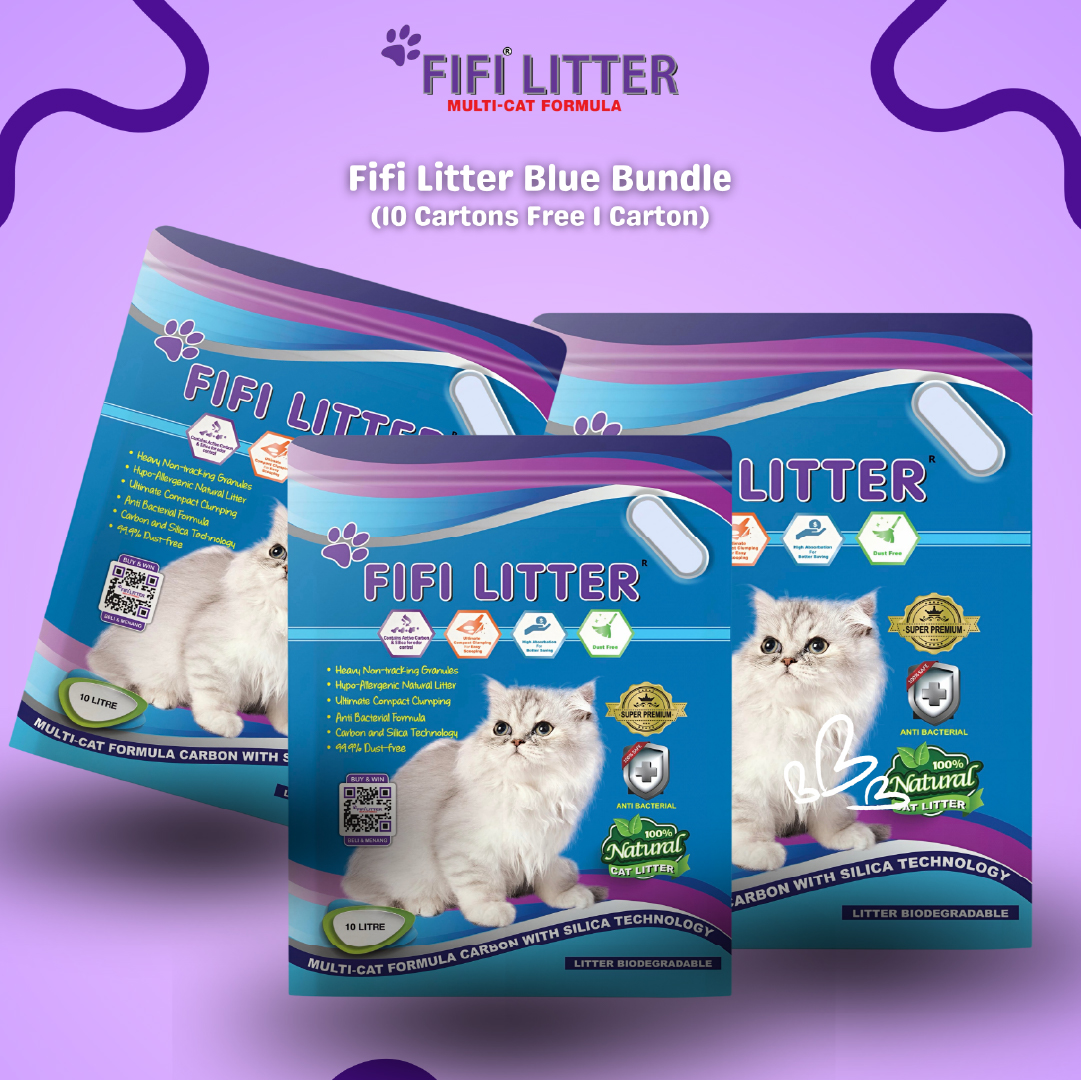 Fifilitter Blue Bundle 10 cartons Free 1 carton