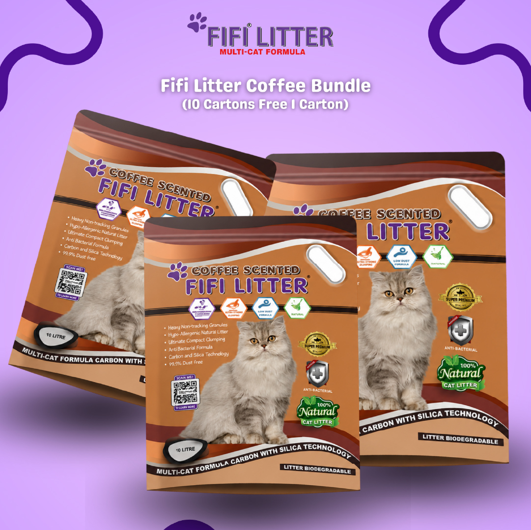 Fifilitter Coffee Bundle 10 cartons Free 1 carton